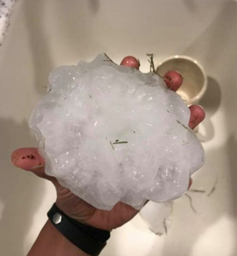 Giant freezing hail fell in Arkansas (photo report)
