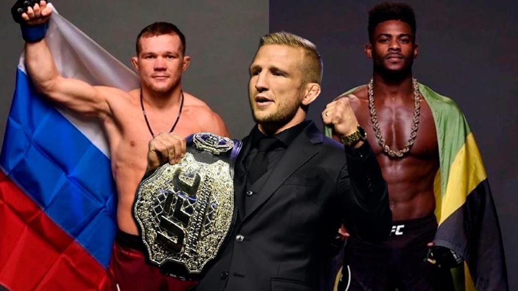 TJ Dillashaw in the next fight may receive the status of an official contender