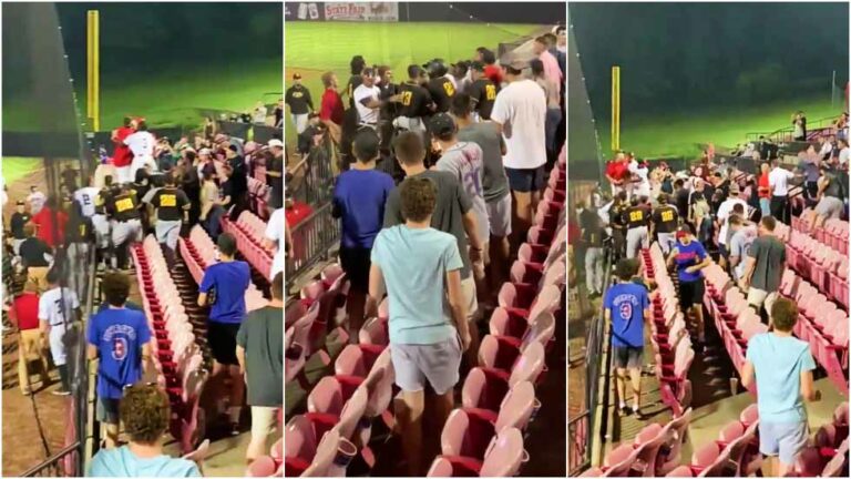 Baseball team storm the stands to confront fans after being showered with beer – VIDEO