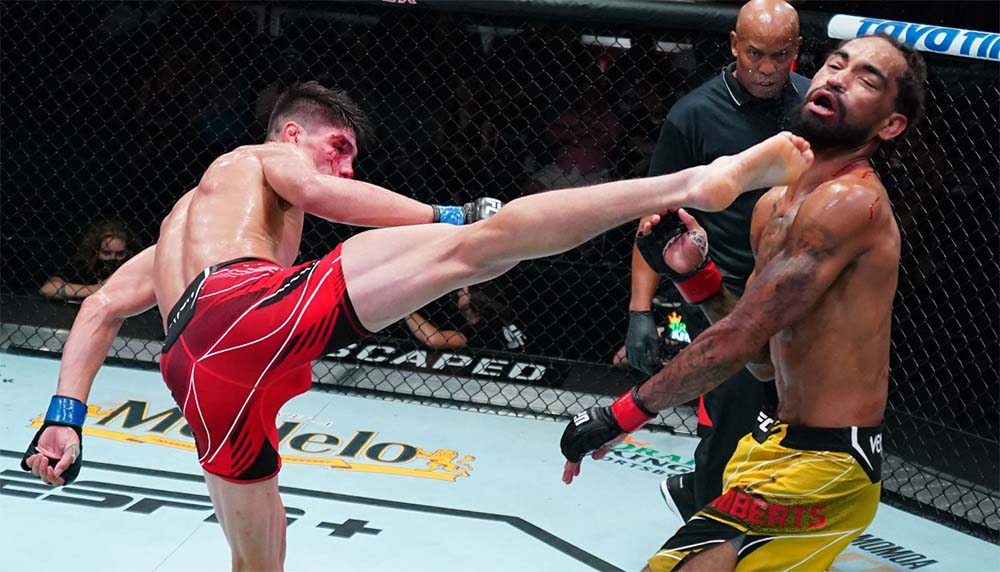 MMA news UFC on ESPN 29 Bonuses + video of knockouts