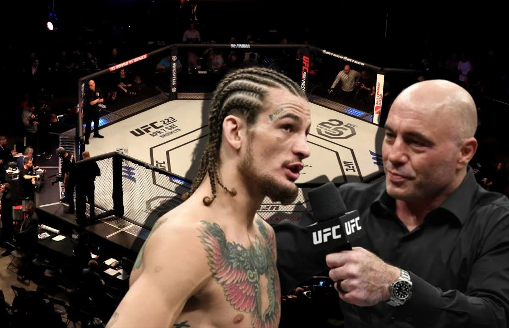 UFC news Sean O'Malley told when and with whom he wants to hold the next fight