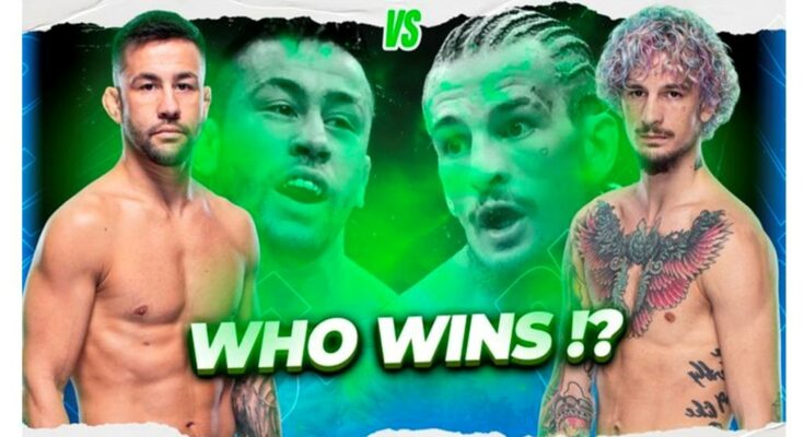 UFC fighters pick Sean O’Malley vs. Pedro Munhoz winner at UFC 276