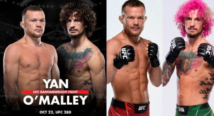 Sean O'Malley stated he will fight with former bantamweight champion Petr Yan at UFC 280 on Oct