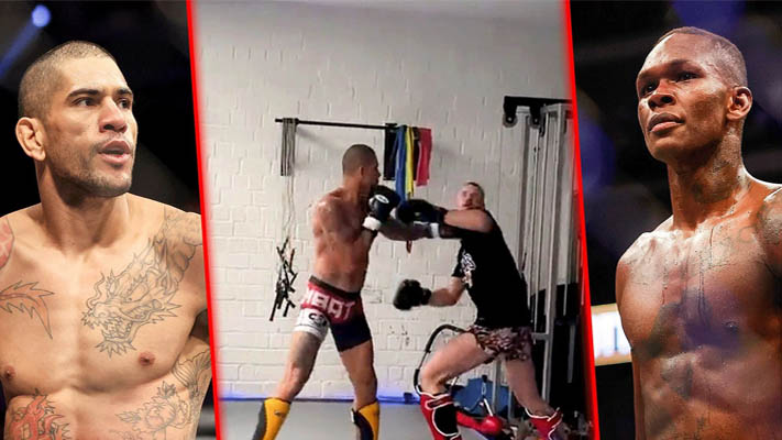 MMA Fans impressed by Alex Pereira’s lightning fast left hook in new training clip
