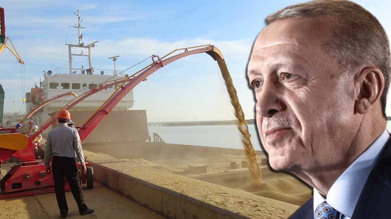 The Turkish leader Erdogan appeals to West over Black Sea grain deal
