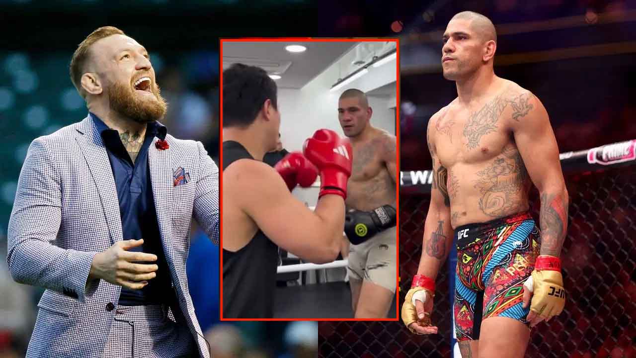 Conor McGregor scolds Alex Pereira and his training partner after footage of boxing sparring goes viral