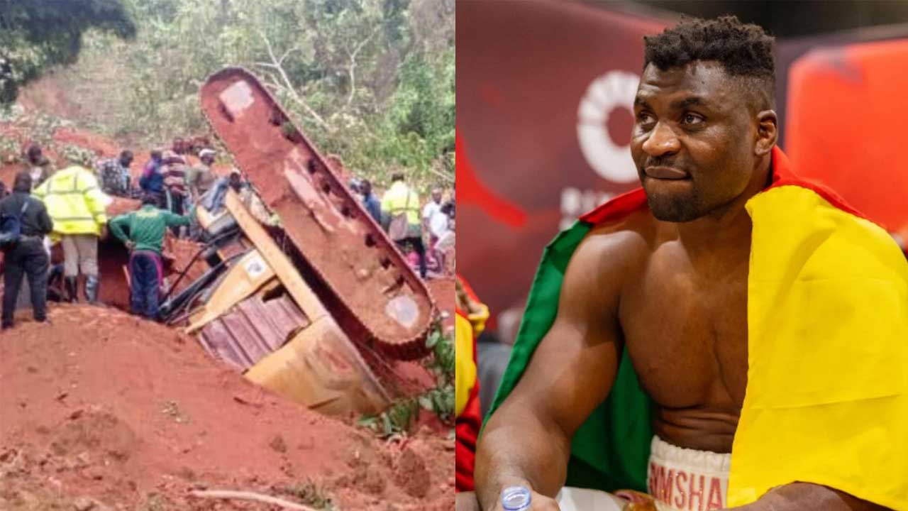 Fans show support for Francis Ngannou during the tragedy in Cameroon