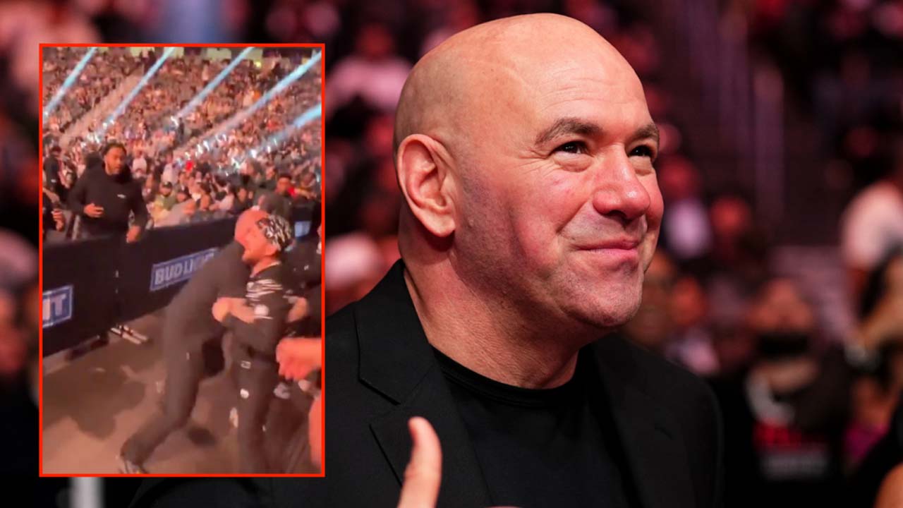 Dana White reacts to Merab Dvalishvili’s fight with a fan at UFC 310